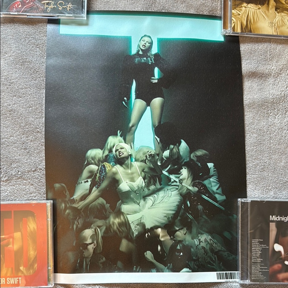 Taylor Swift Poster Reputation Rep LWYMMD Look What You Made Me Do Swiftie Art